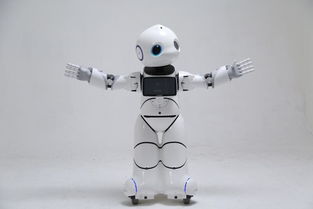 搶錢(qián)時(shí)機(jī) 國(guó)家重拳出擊，撥6億推動(dòng)智能機(jī)器人市場(chǎng)研發(fā)騰飛